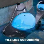 Dolphin Premier Robotic Pool Cleaner 2024 for Inground Pools up to 50ft - Image 3